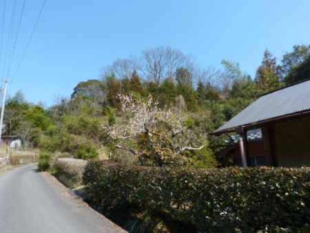 里山サテライト